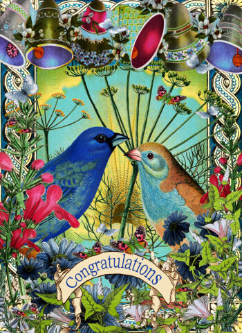 'Love birds' Congratulations card