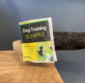 dog training for dummies