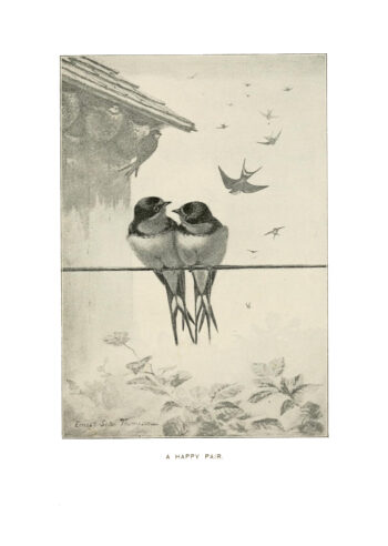 'Together' - swallows print with thread detail - Image 3