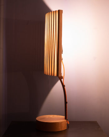 A Lamp of 2 halves - Image 3