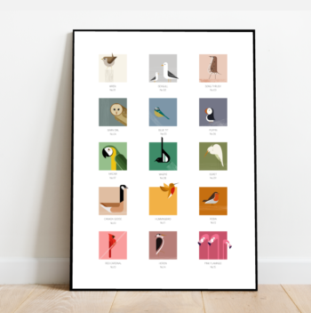 Bird Colour Chart, bird print