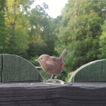 A Robin, A Wren and A Mouse - Image 4