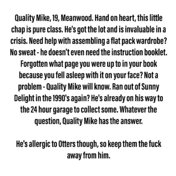 Quality Mike - Small Scraplet - Image 2