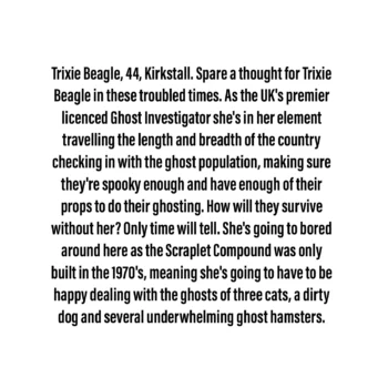 Trixie Beagle - Medium Scraplet - Image 2