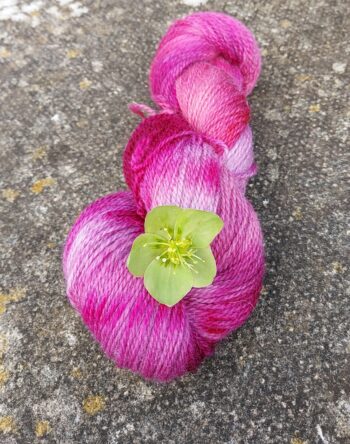 Hand Dyed Yarn, 100g, Sport, Sock, Falkland Merino, Cheviot, Recycled Wool Blend.