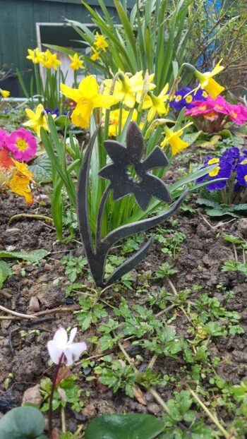 Daffodil Plant Marker