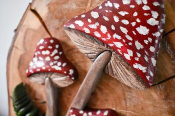 Mushrooms on a log slice - Image 2